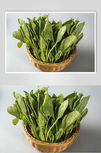 新鲜菠菜食品图片