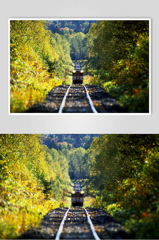大气树木远方的列车自然风光摄影图
