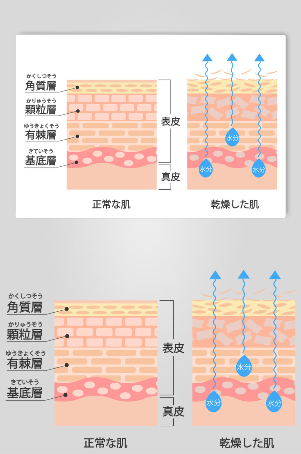 清晰手绘肌肤矢量素材素材