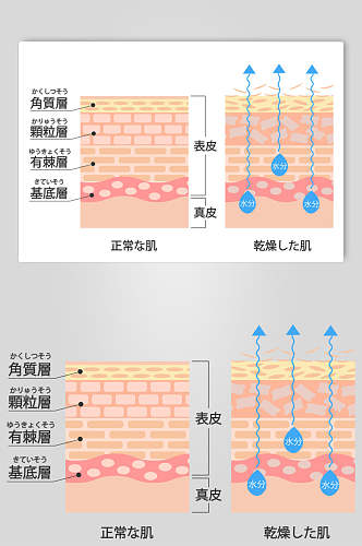 清晰手绘肌肤矢量素材