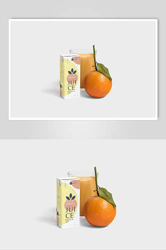 橙子英文字母叶子饮料包装样机