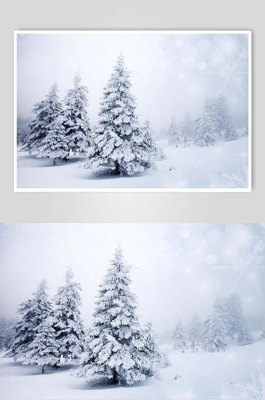 白色冬季雪景摄影图片