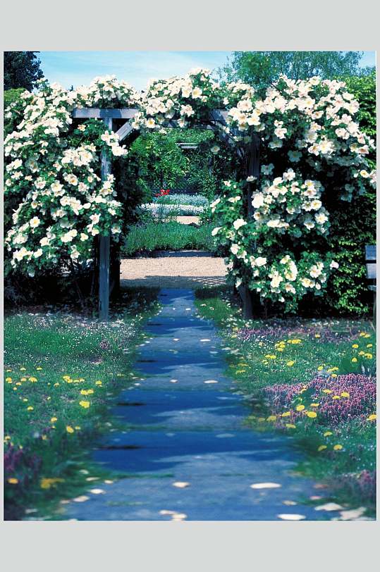 婚纱花园背景大图