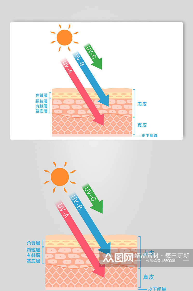 箭头手绘皮肤肌层插画矢量素材素材