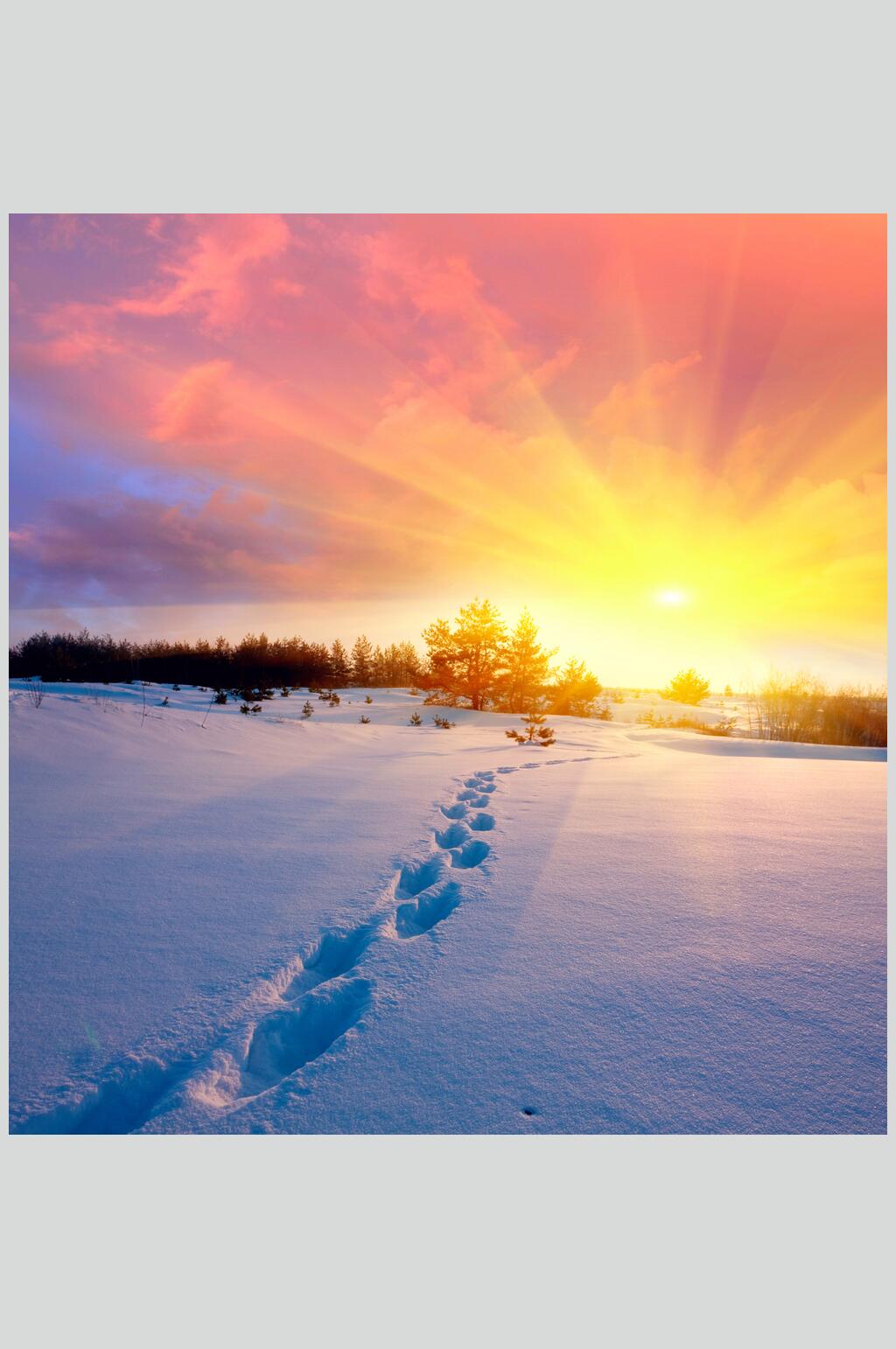 日出冬季雪景摄影图片