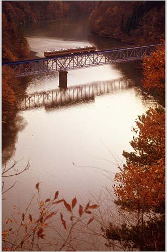 红灰色树木河水铁轨铁架自然风光摄影图