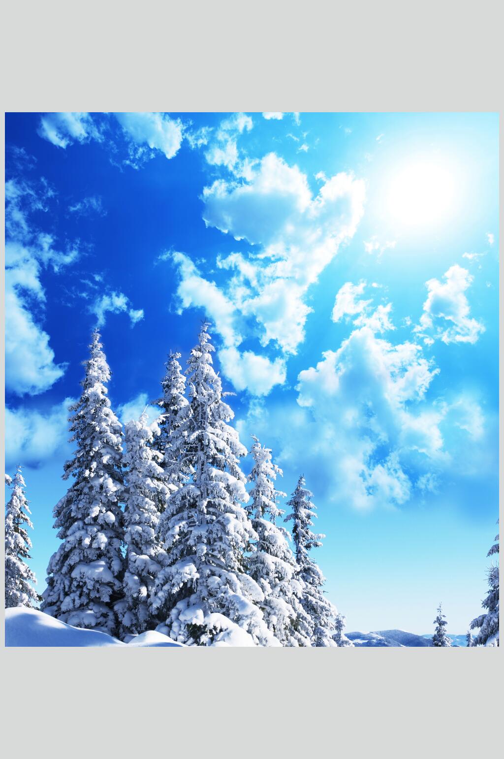 唯美冬季雪景摄影图片素材