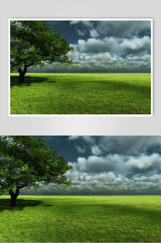 绿色草坪大自然景观摄影图