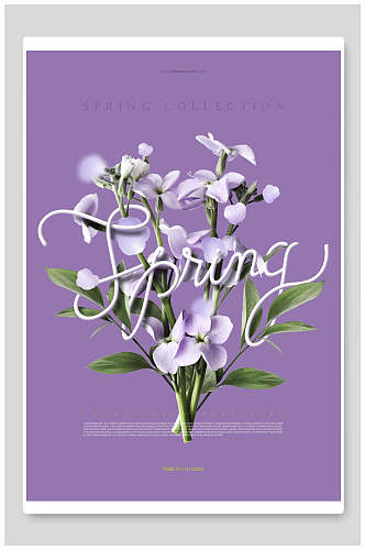 紫色背景春天花卉海报