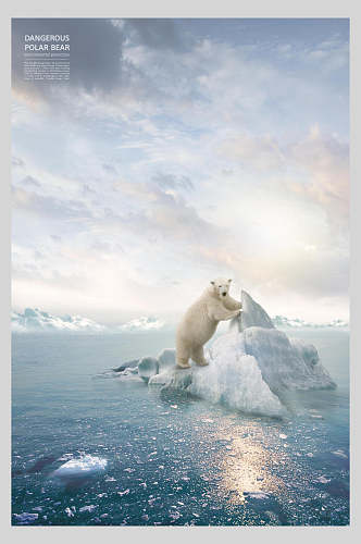 冰雪保护动物公益海报