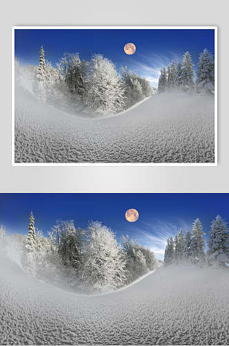 雪地雪松月亮冬季雪景摄影图片