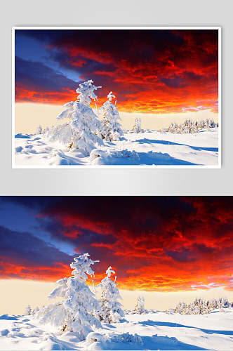 红天冬季雪景摄影图片