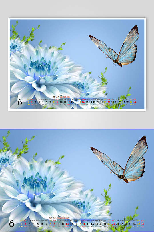 蝴蝶花朵自然风光树林图片