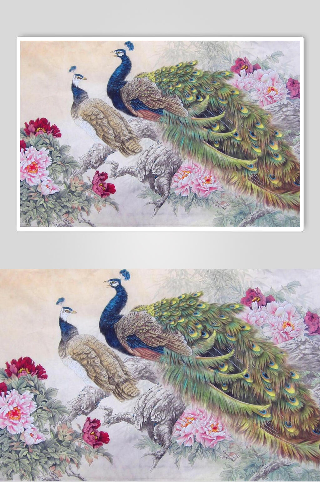 孔雀精美工笔国画壁纸图片素材