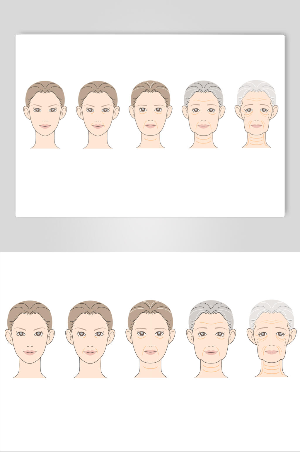 创意女士手绘皮肤肌层插画矢量素材素材