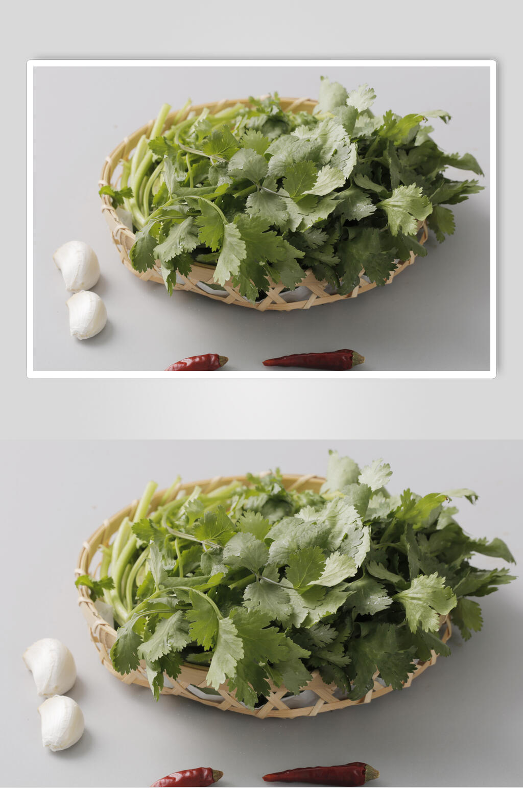新鲜香菜食品图片素材