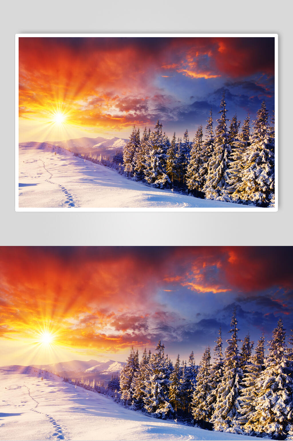 松树夕阳冬季雪景摄影图片素材