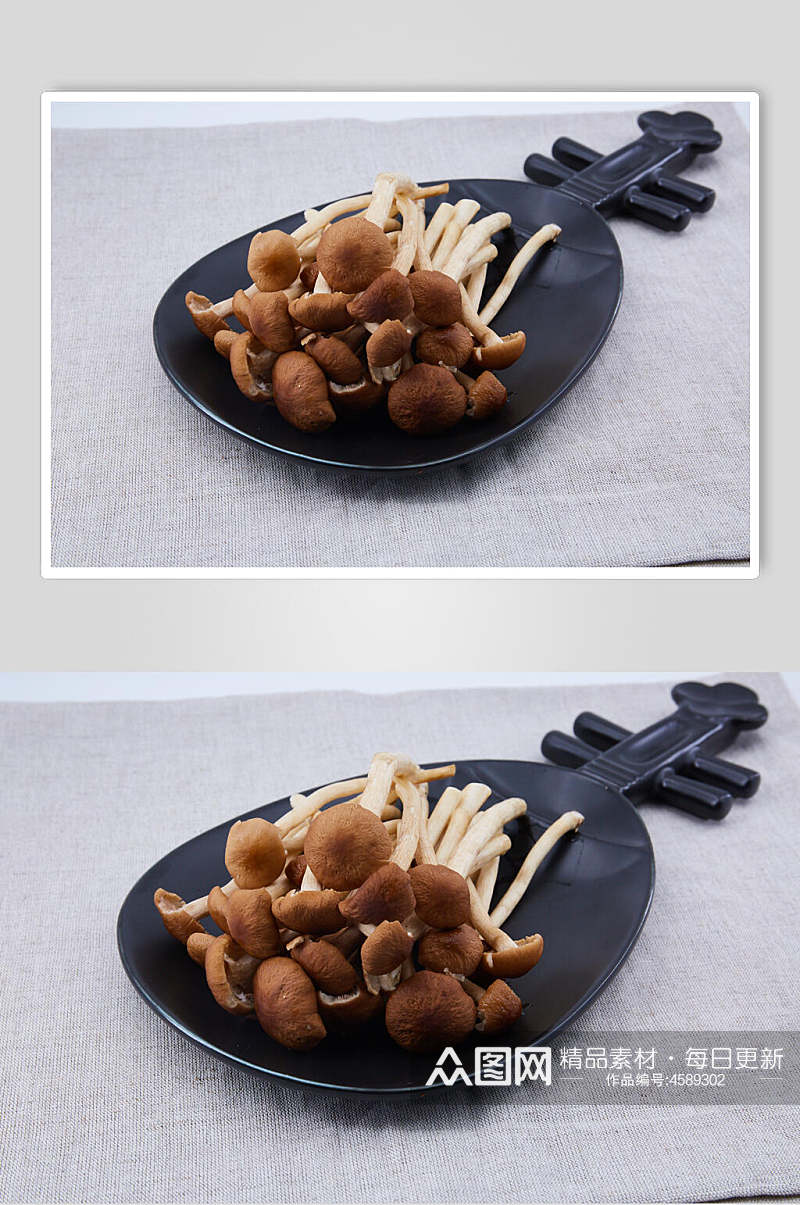 茶树菇麻辣烫配菜食品图片素材