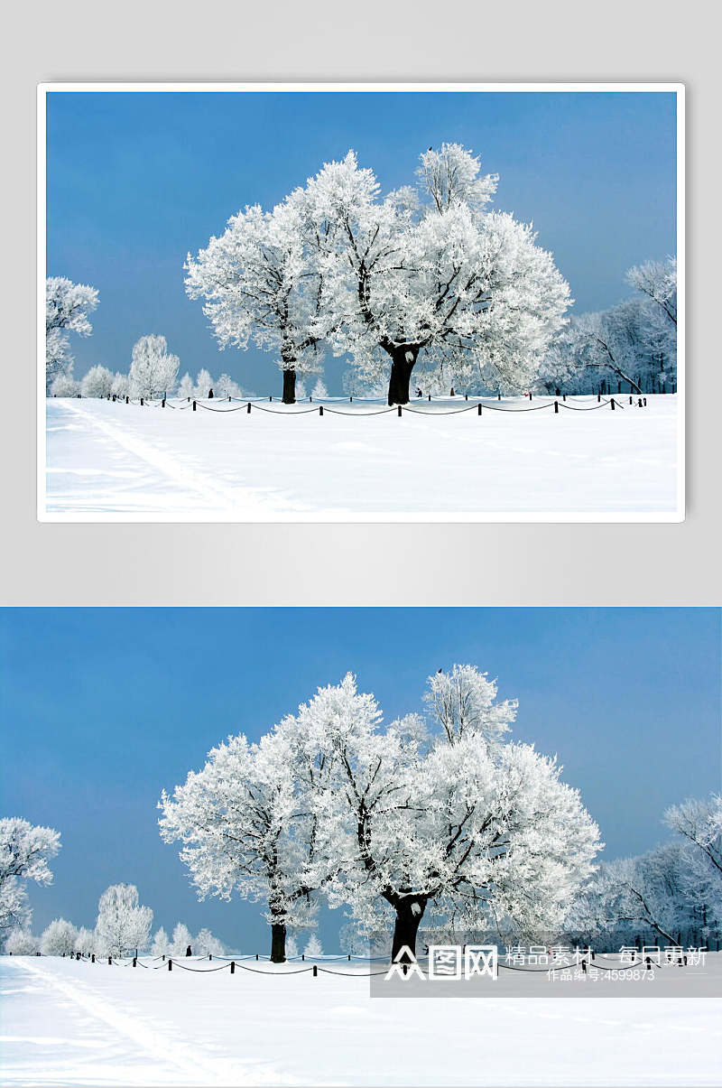 雪树婚纱背景大图素材