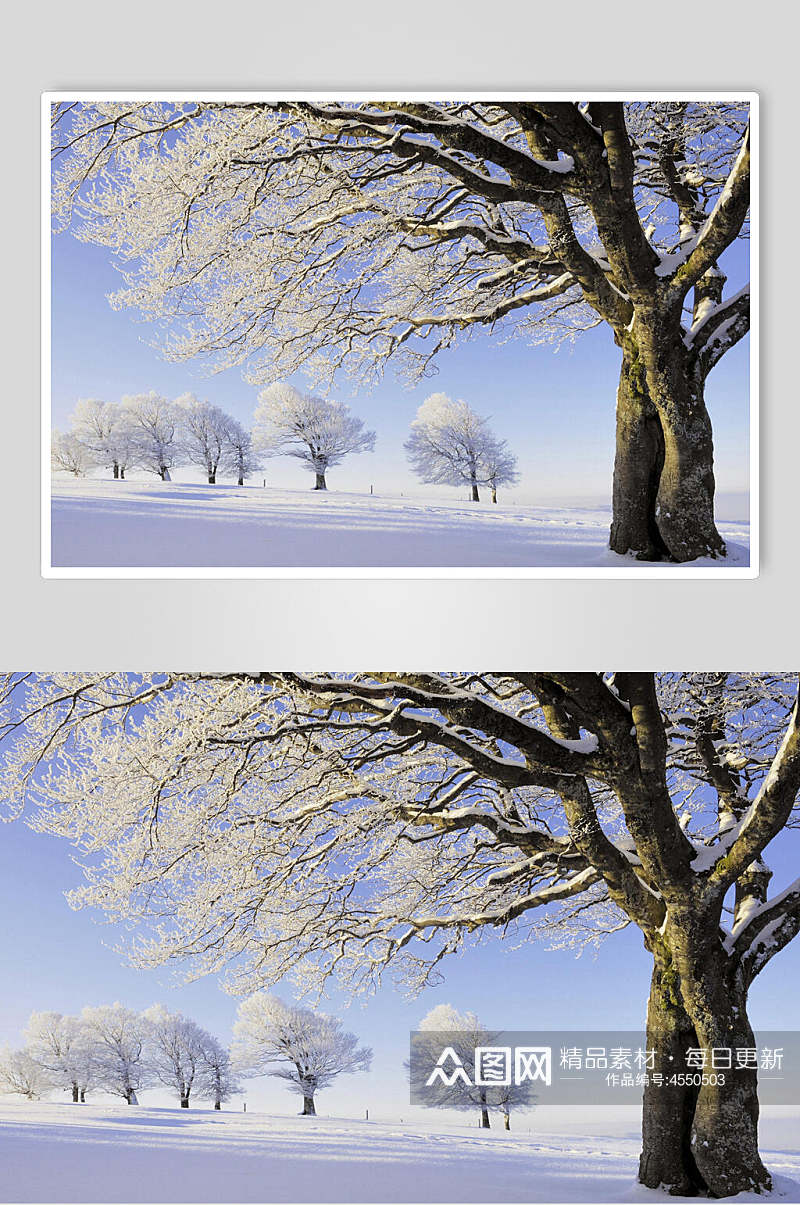 创意枯树雪景背景图片素材