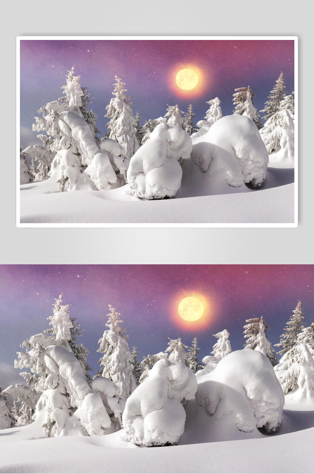 太阳雪松冬季雪景摄影图片素材