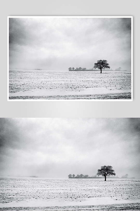 灰色戈壁风景风光图片