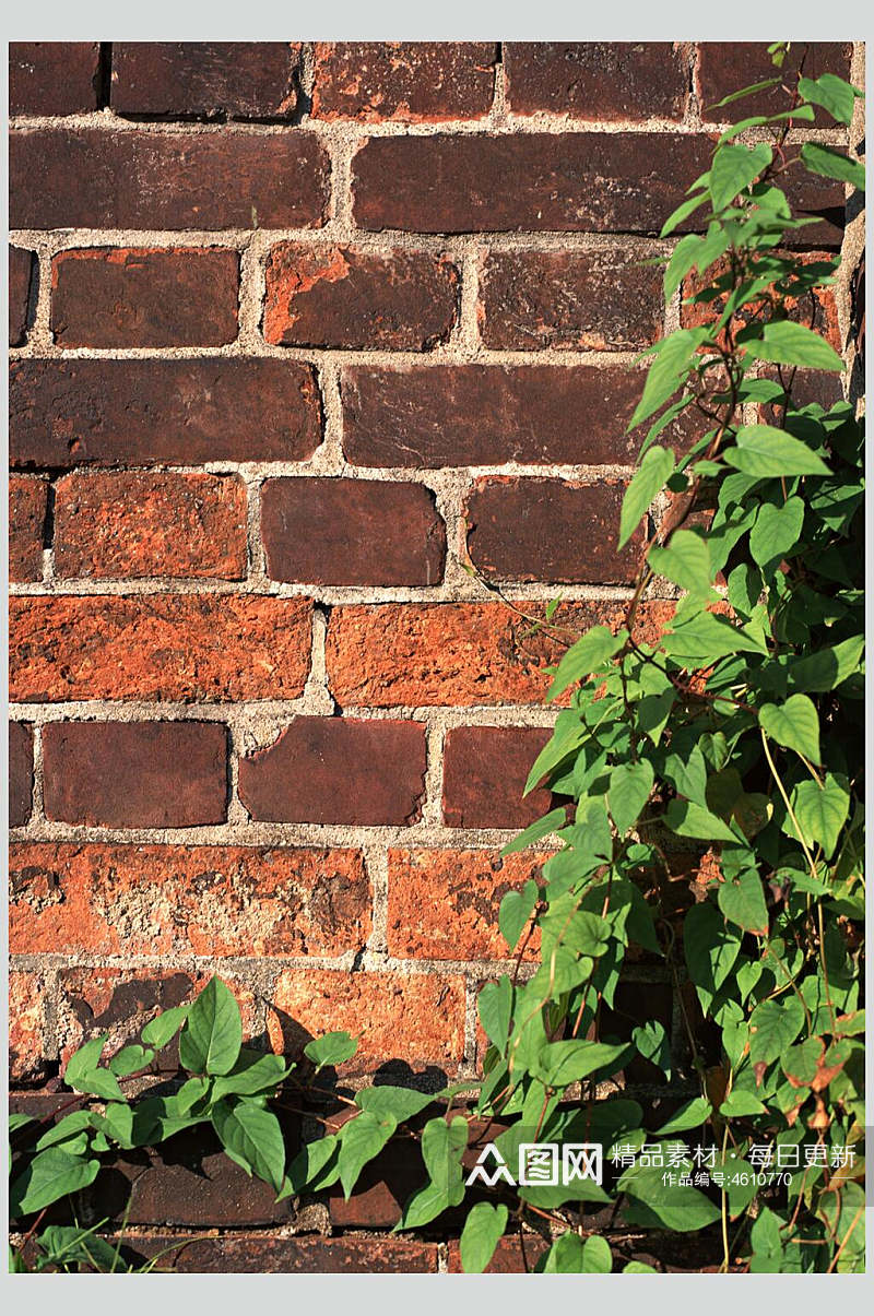 砖墙花园一角图片素材