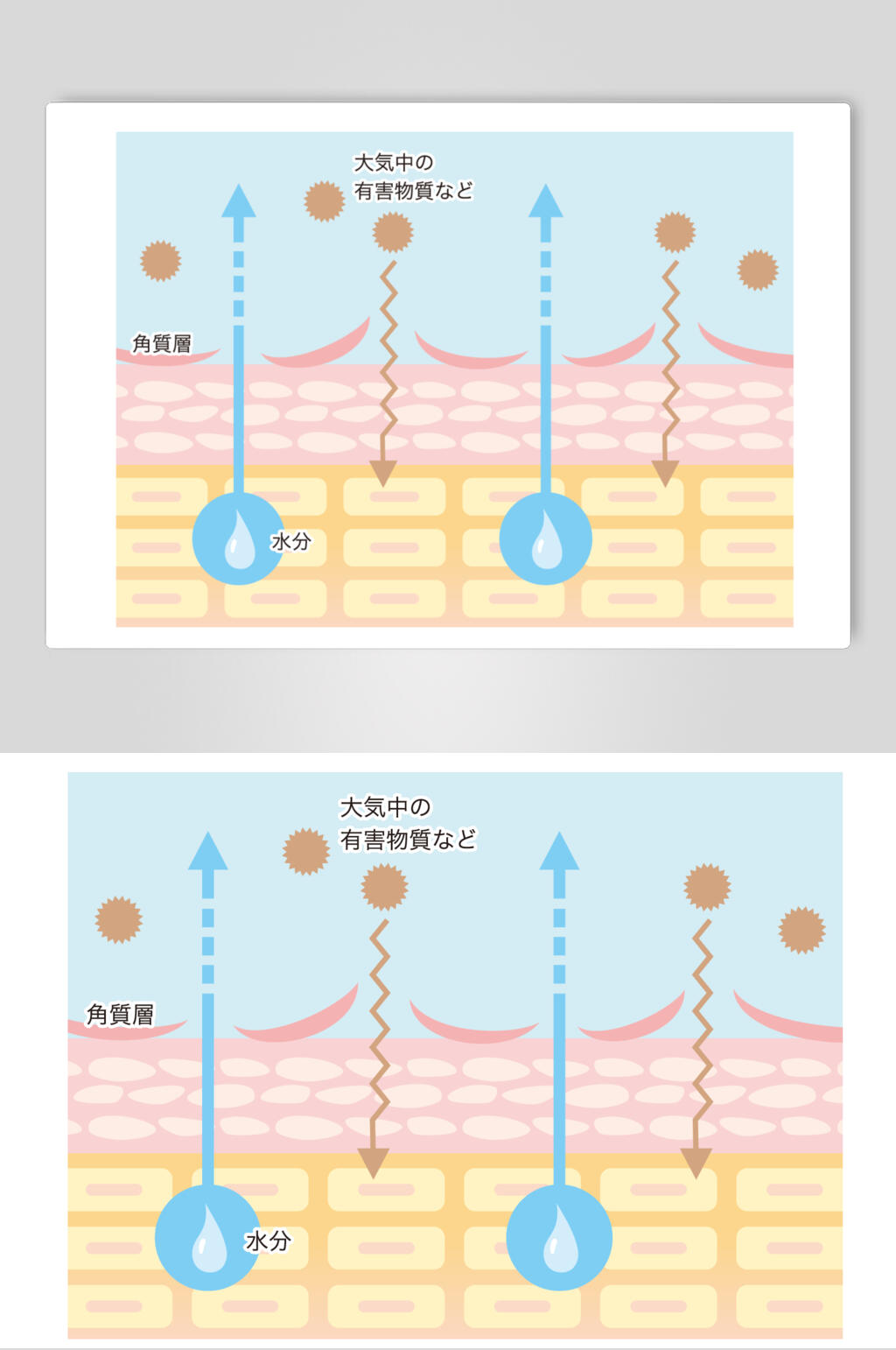 清新手绘皮肤肌层插画矢量素材素材
