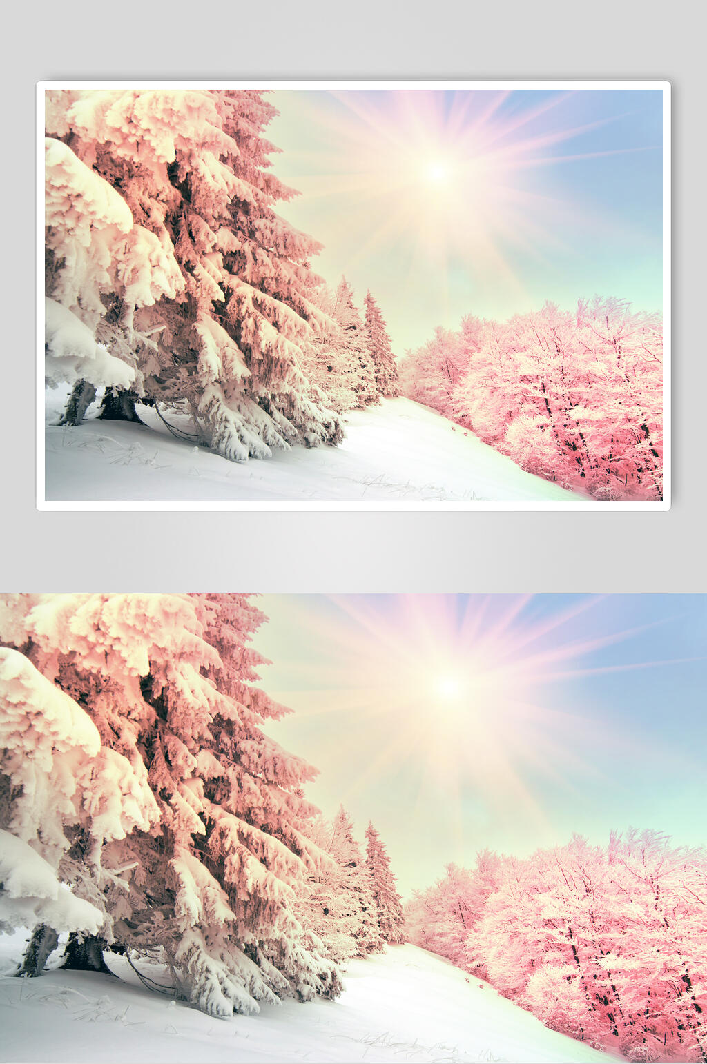 冬季雪景摄影图片素材