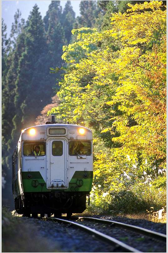 创意树木火车自然风光摄影图