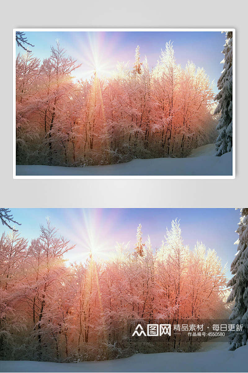唯美透光冬季雪景摄影图片素材