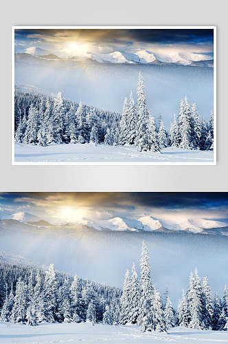 阳光冬季雪景摄影图片