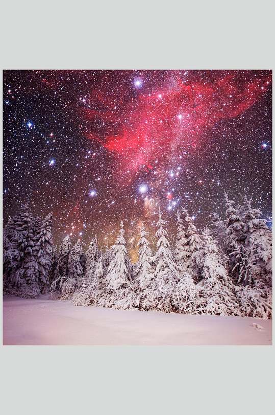 星空雪松冬季雪景摄影图片