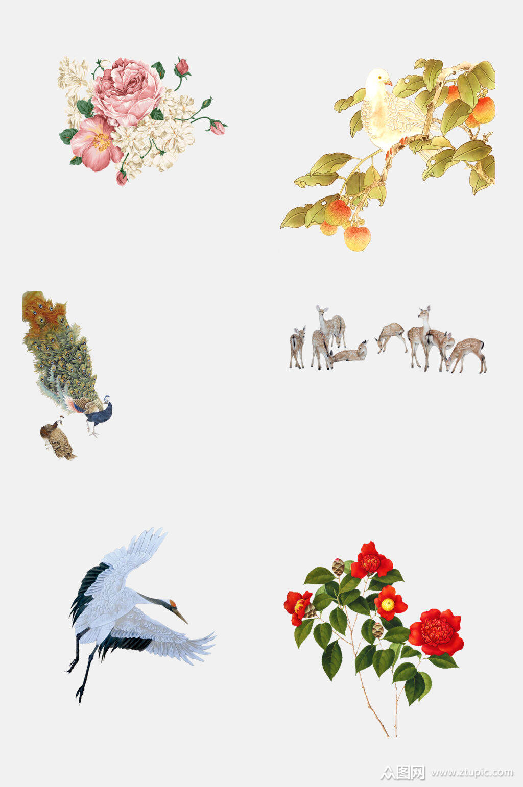 仙鹤山鹿花卉植物工笔画免抠素材素材
