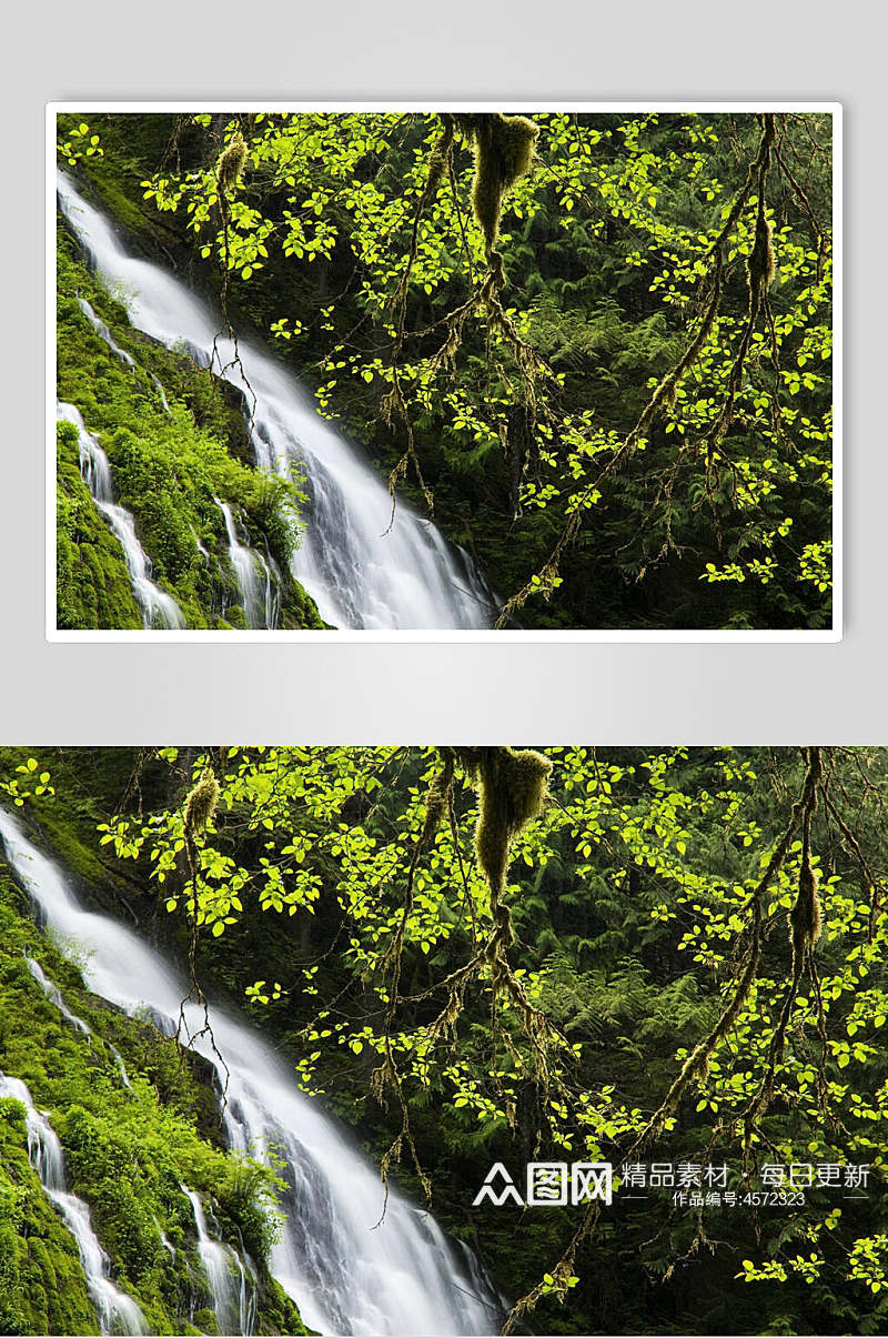 瀑布森林大自然风光摄影图素材