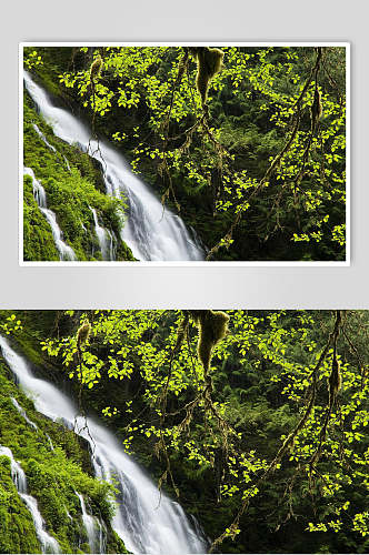 瀑布森林大自然风光摄影图