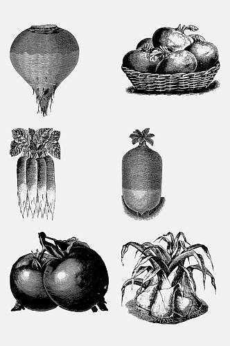两个西红柿复古手绘蔬菜食材免抠素材