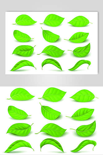 绿叶树叶叶子矢量设计素材