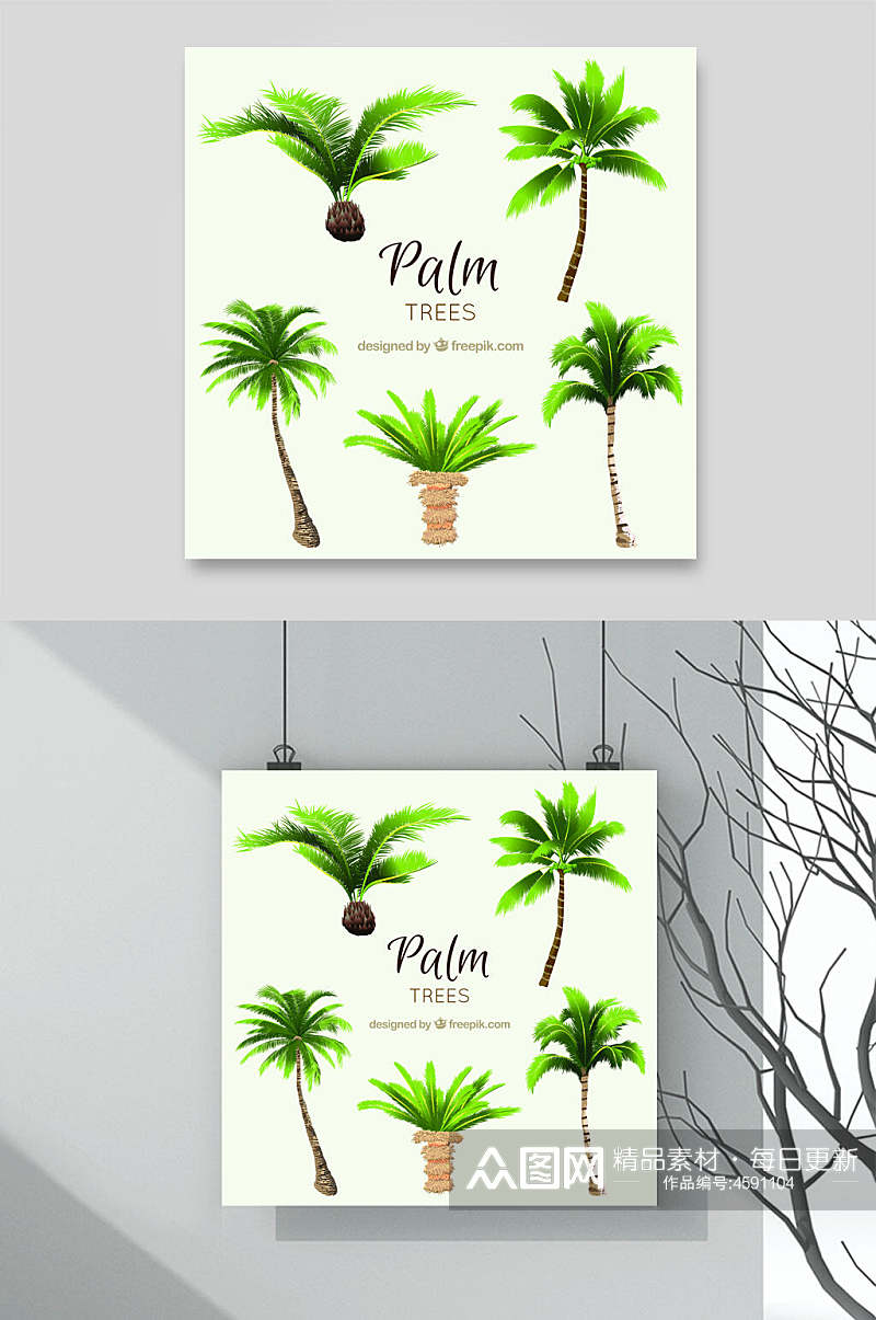 植物棕榈树矢量素材素材