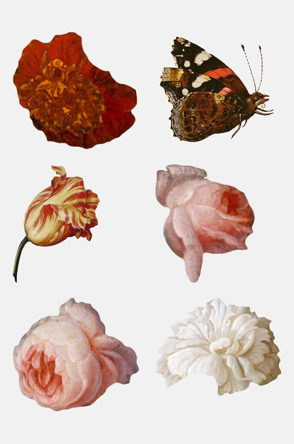 花卉复古花卉免抠素材素材