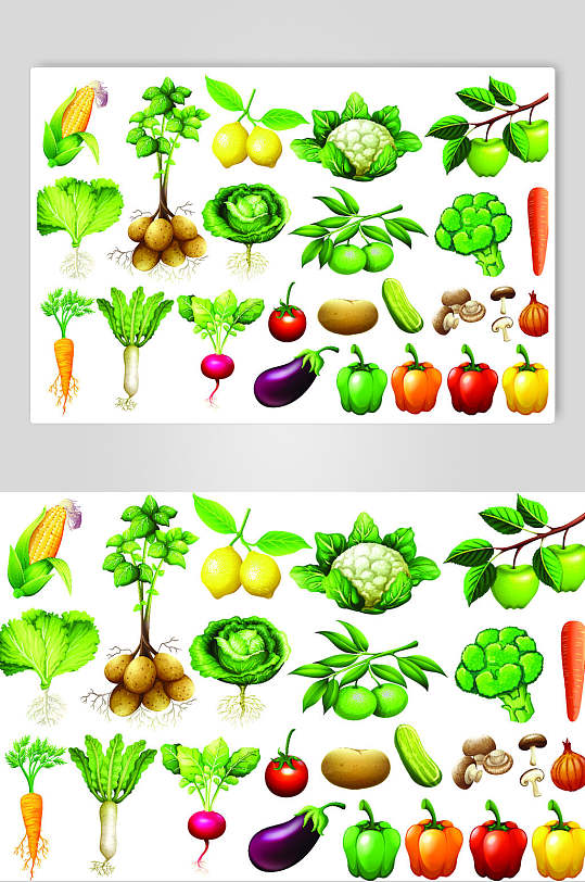 精品手绘蔬菜矢量素材
