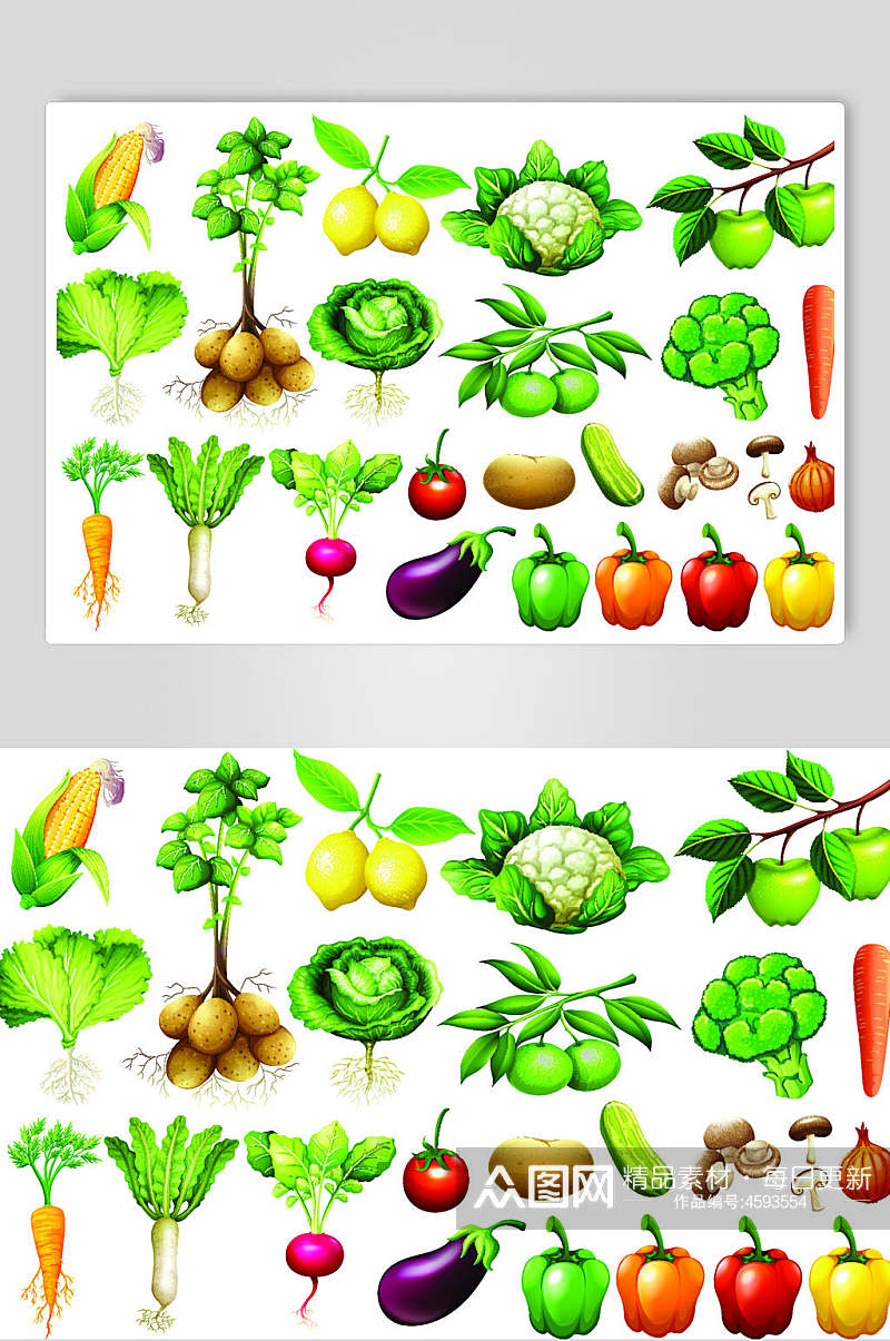 精品手绘蔬菜矢量素材素材