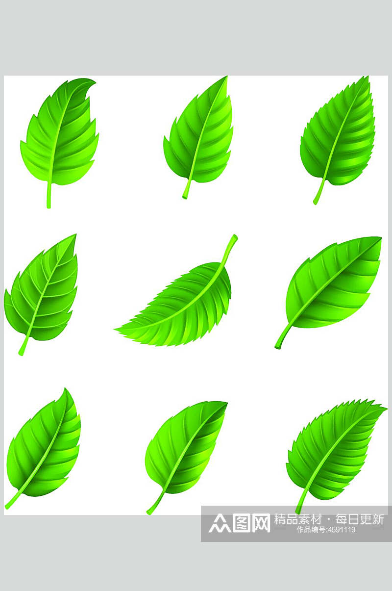 白底绿色树叶叶子矢量素材素材