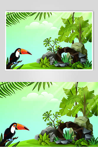 啄木鸟热带雨林矢量素材
