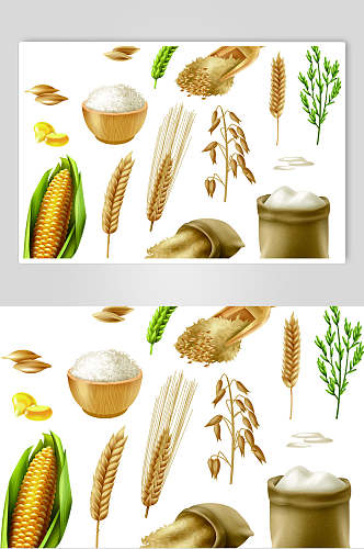 创意玉米水稻大米矢量素材