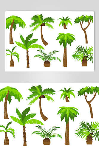 植物棕榈树矢量设计素材