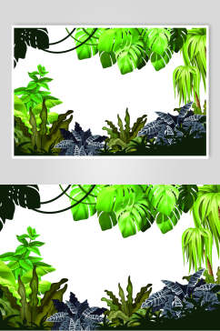 绿树热带雨林矢量素材