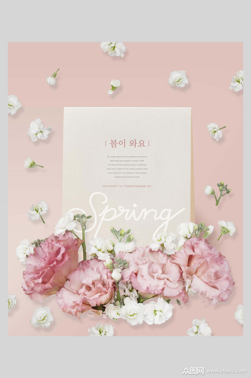 美丽的春天花朵海报素材