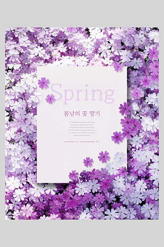 紫色边框春天花朵海报