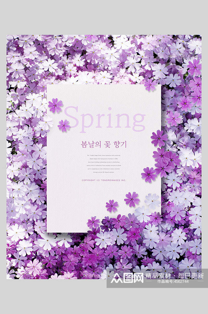 紫色边框春天花朵海报素材